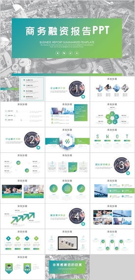 商务融资报告PPT