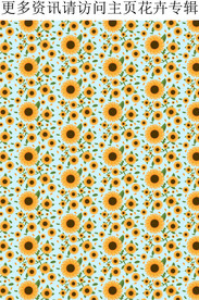 向日葵 菊花 花朵花纹