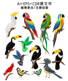 矢量手绘鸟类插画