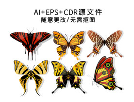 矢量手绘蝴蝶插画