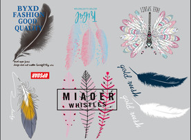 羽毛  潮牌烫画