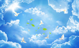 蓝天白云家装吊顶图片