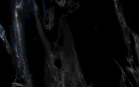 新中式TIF合层 黑金花石纹