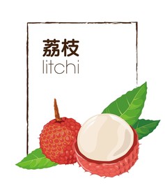 荔枝矢量素材