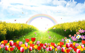 蓝天彩虹风景装饰画图片