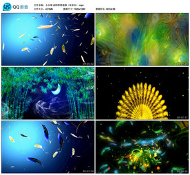 小白翎 舞蹈大屏舞美背景视频