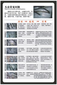 头皮常见问题 头皮管理 头皮