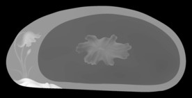 荷花茶盘  荷叶茶盘