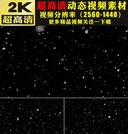 晶莹剔透雪花粒子飘落视频素材