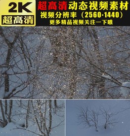 雪山雪景下雪冬季飘雪视频素材