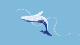 小清新卡通蜡笔鲸鱼壁纸