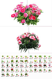 50套花卉灌木植物su模型