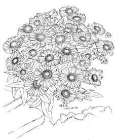 台阶下的菊花丛