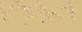 富贵花开