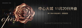 黑金地产广告
