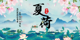 荷花 夏荷 莲花