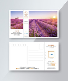 伊犁花海明信片淘宝感谢信