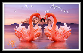 火烈鸟心心相印湖水倒影装饰画
