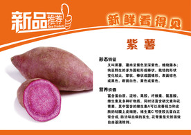 紫薯简介