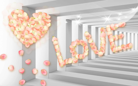 玫瑰花花瓣背景装饰画