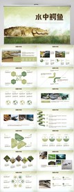 水中鳄鱼动态PPT模板