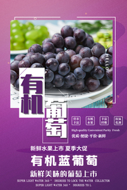 蔬菜水果