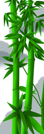 翠竹