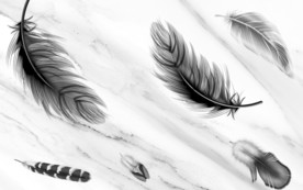 高清 高端唯美羽毛 TIF分层