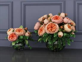 蔷薇月季朱丽叶