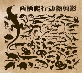 爬行动物剪影合集