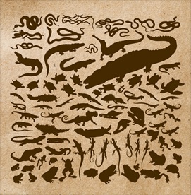 爬行动物矢量剪影合集