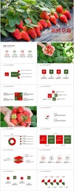 采摘草莓园绿色草莓动态PPT