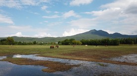 4K马场湿地草原，马儿吃草场