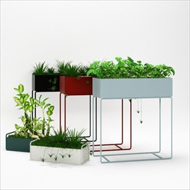 现代风格植物箱