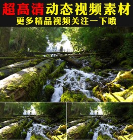 绿色小溪流水河流大自然视频