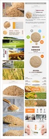 网店糙米详情页设计