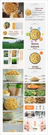 淘宝黄豆详情页设计