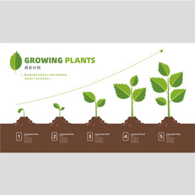 植物成长图片大全 植物成长设计素材 植物成长模板下载 植物成长图库 昵图网soso Nipic Com