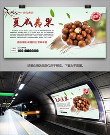 美味夏威夷果海报灯箱展板展架