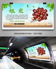 福建锥栗海报灯箱展板展架挂画