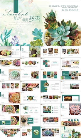 绿色多肉植物养殖绿色欣赏PPT