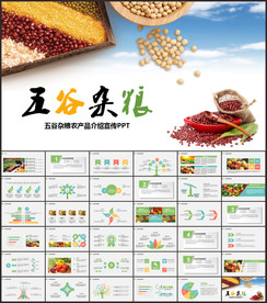 五谷杂粮农产品介绍宣传PPT