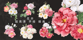 超高清分层手绘逼真牡丹七彩玫瑰