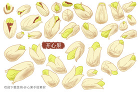 开心果手绘素材