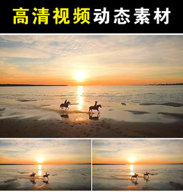 海边骑马情侣mp4短视频素材