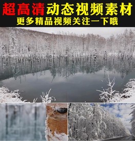冬季雪景实拍视频素材