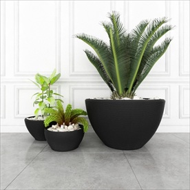 三盆绿色装饰植物