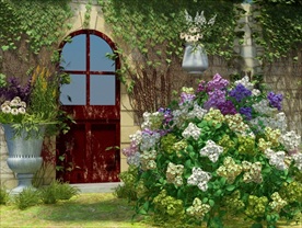 花园里的装饰植物