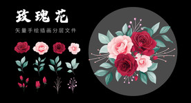 矢量玫瑰花月季花手绘精品插画