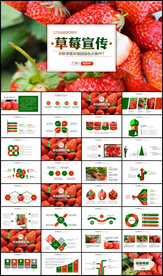 草莓园绿色水果农产品种植PPT